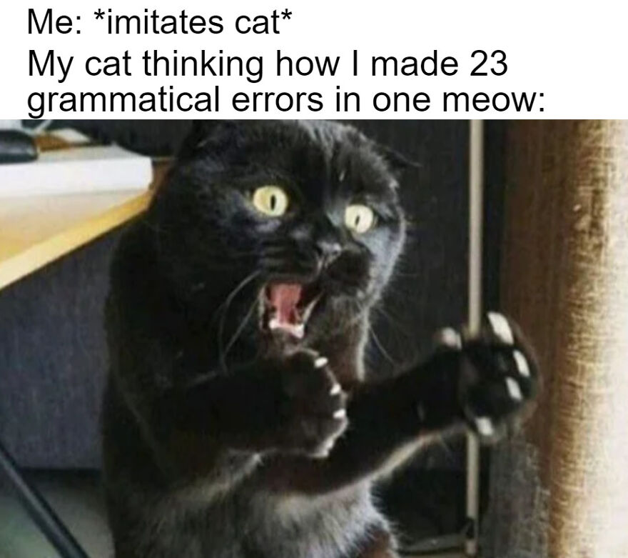 I'm Sorry Kitty, We Just Aren't As Awesome As You