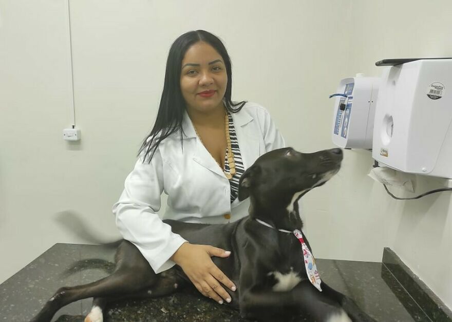 "He Put The Injured Paw Forward": Video Shows Stray Dog Wandering Into A Vet Clinic As If To Ask For Help "He Put The Injured Paw Forward": Video Shows Stray Dog Wandering Into A Vet Clinic As If To Ask For Help