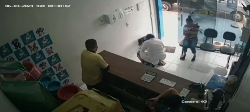 "He Put The Injured Paw Forward": Video Shows Stray Dog Wandering Into A Vet Clinic As If To Ask For Help