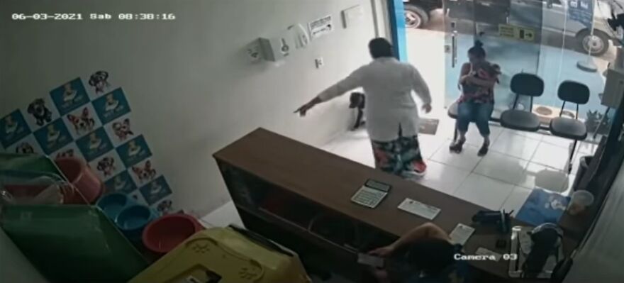 "He Put The Injured Paw Forward": Video Shows Stray Dog Wandering Into A Vet Clinic As If To Ask For Help