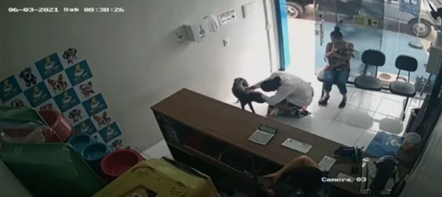 "He Put The Injured Paw Forward": Video Shows Stray Dog Wandering Into A Vet Clinic As If To Ask For Help "He Put The Injured Paw Forward": Video Shows Stray Dog Wandering Into A Vet Clinic As If To Ask For Help
