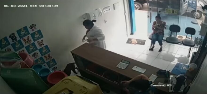 "He Put The Injured Paw Forward": Video Shows Stray Dog Wandering Into A Vet Clinic As If To Ask For Help "He Put The Injured Paw Forward": Video Shows Stray Dog Wandering Into A Vet Clinic As If To Ask For Help