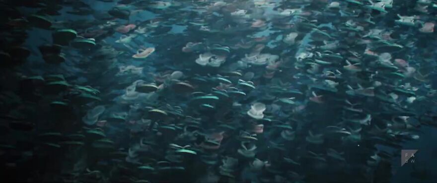 This Heartbreaking Animated Short Shows Plastic Waste Transforming Into Ocean Life