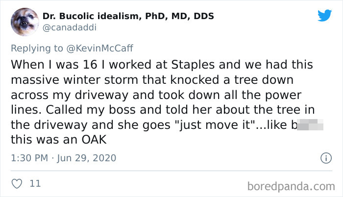 Employees-Complain-Worst-Bosses-Sayings