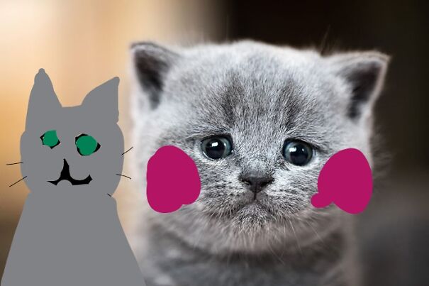 Just Needed A Friend!