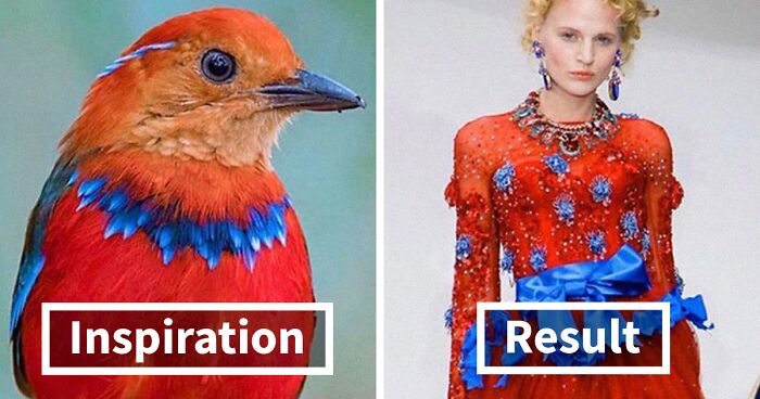 Fashion Often Draws Inspiration From Nature And This Instagram Account Proves It (30 Pics)