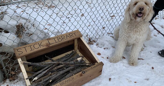 Dad And His 10-Year-Old Son Use Their Time In Quarantine To Build A ‘Stick Library’ For Local Dogs