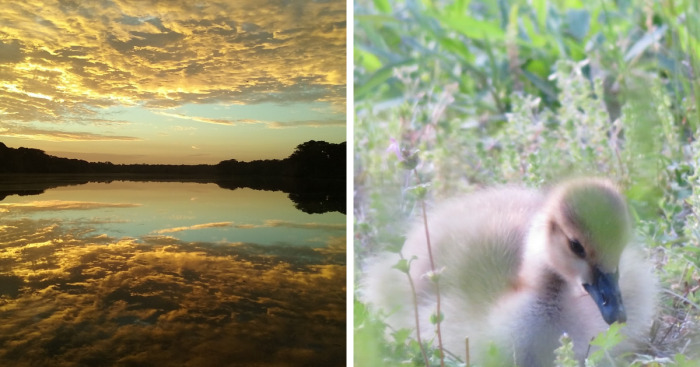 Hey Pandas, Share The Prettiest Photo In Your Camera Roll (Closed)