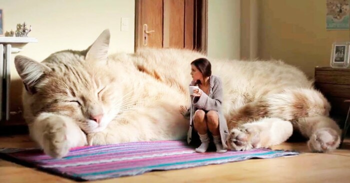 Hey Pandas, Post A Picture Of Animals Way Bigger Than They Should Be (Closed)