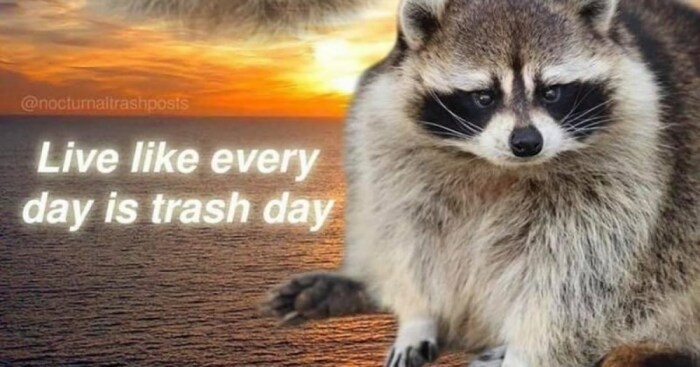 Hey Pandas, Post The Funniest Animal Meme (Closed)