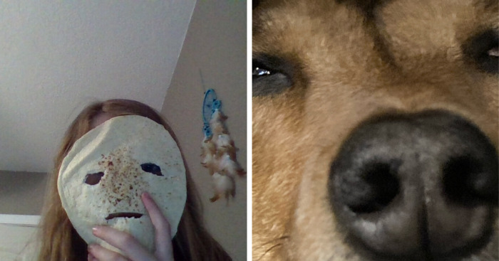 Hey Pandas, What Is The Latest Picture On Your Camera Roll? (Closed)