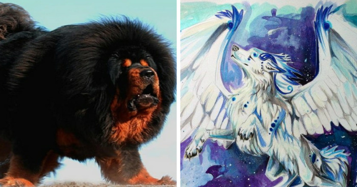 Hey Cute Pandas, Post A Pic Of A Dog You Want (Closed)