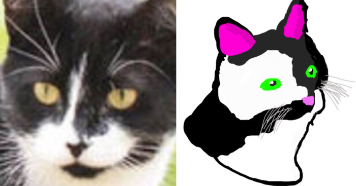 Hey Pandas, Draw Your Pet And Share It With A Real-Life Photo Of Them (Closed)