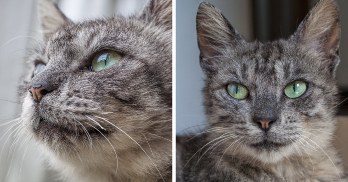 We Rescued Min-Min, Who Turned Out To Be The Most Lovely Little Girl You Could Imagine