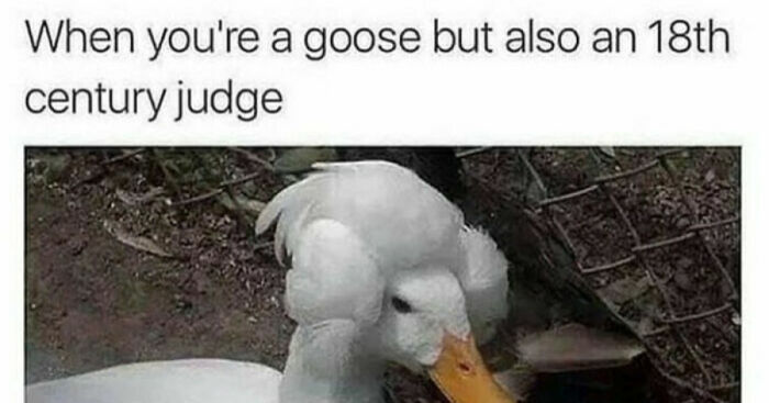 Hey Pandas, What Is The Best Meme You Have? (Closed)