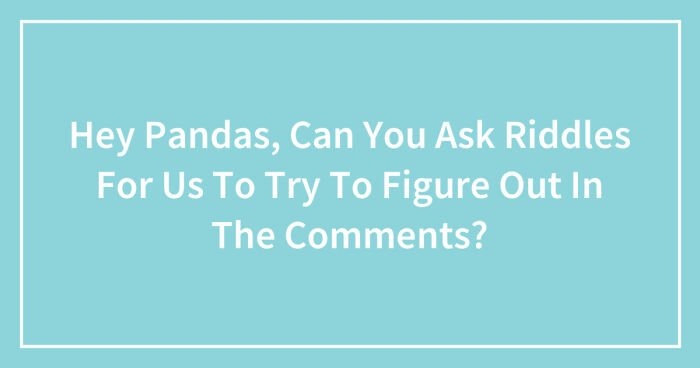 Hey Pandas, Can You Ask Riddles For Us To Try To Figure Out In The Comments? (Closed)