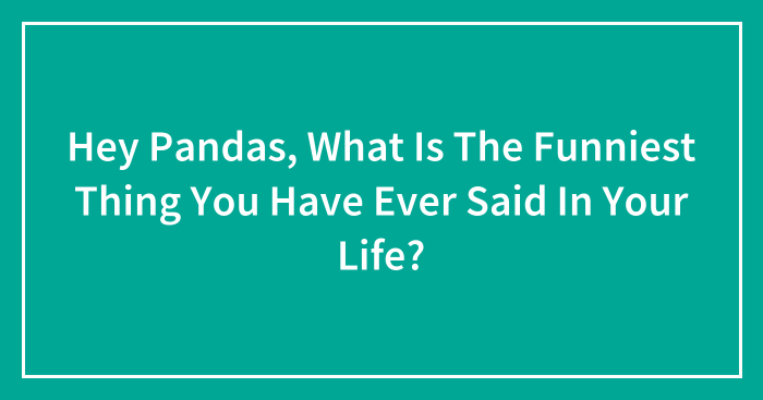 Hey Pandas, What Is The Funniest Thing You Have Ever Said In Your Life? (Closed)