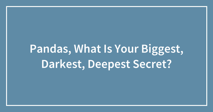Pandas, What Is Your Biggest, Darkest, Deepest Secret? (Closed)