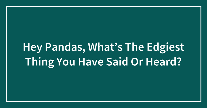 Hey Pandas, What’s The Edgiest Thing You Have Said Or Heard? (Closed)