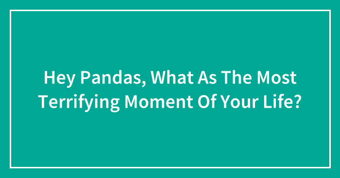 Hey Pandas, What As The Most Terrifying Moment Of Your Life? (Closed)