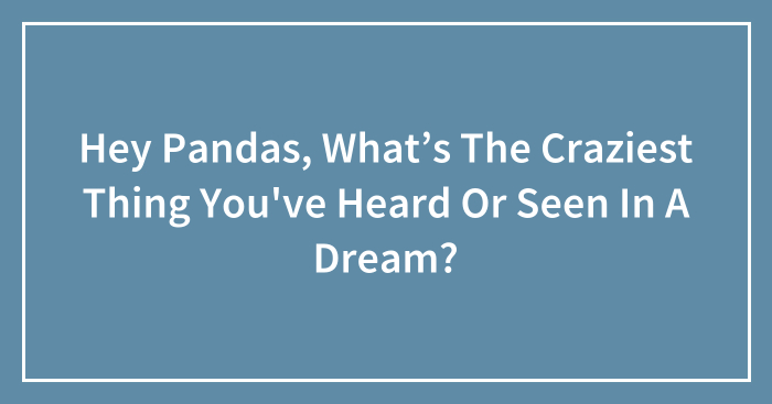 Hey Pandas, What’s The Craziest Thing You’ve Heard Or Seen In A Dream? (Closed)