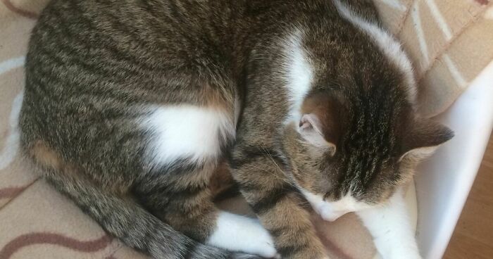 Hey Pandas, Post A Picture Of What Makes You Really Happy!