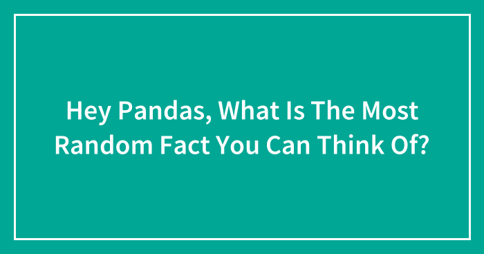 Hey Pandas, What Is The Most Random Fact You Can Think Of? (Closed)