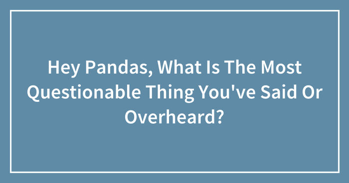 Hey Pandas, What Is The Most Questionable Thing You’ve Said Or Overheard? (Closed)