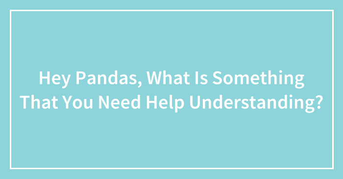Hey Pandas, What Is Something That You Need Help Understanding? (Closed)
