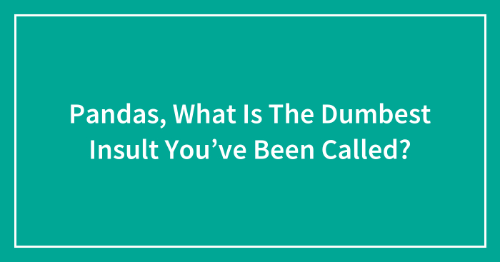 Pandas, What Is The Dumbest Insult You’ve Been Called? (Closed)