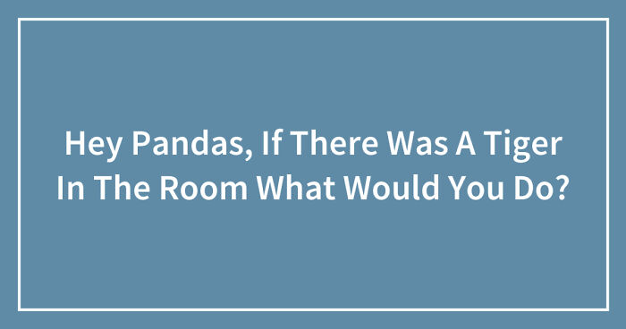 Hey Pandas, If There Was A Tiger In The Room What Would You Do? (Closed)