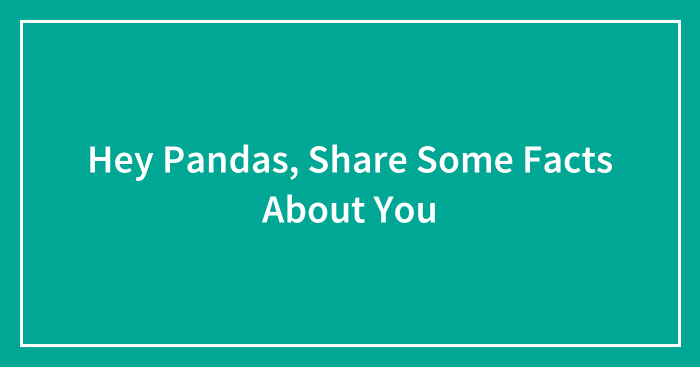 Hey Pandas, Share Some Facts About You (Closed)