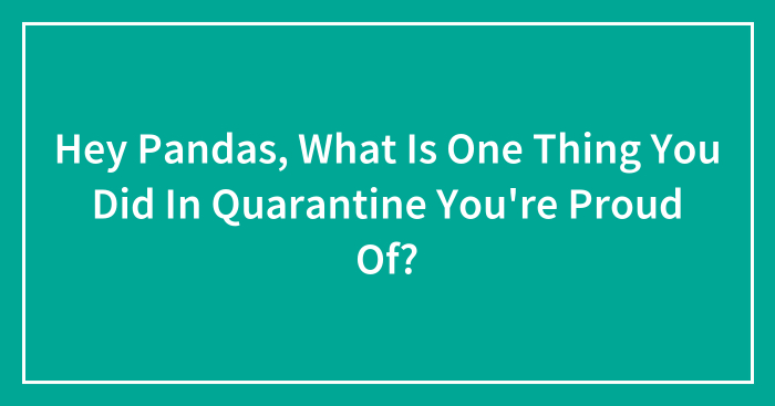 Hey Pandas, What Is One Thing You Did In Quarantine You’re Proud Of? (Closed)