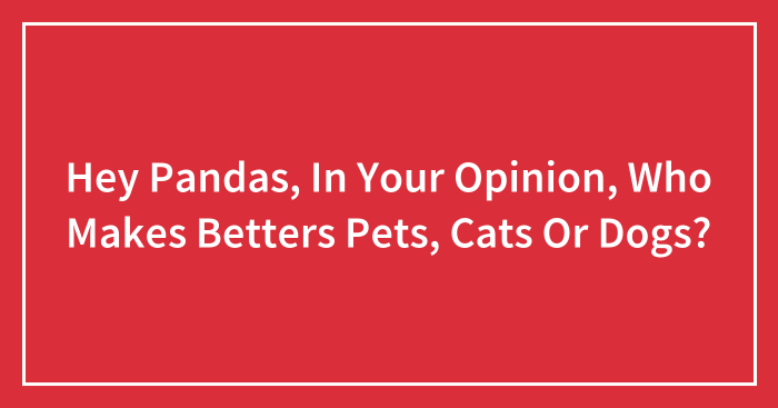 Hey Pandas, In Your Opinion, Who Makes Betters Pets, Cats Or Dogs? (Closed)