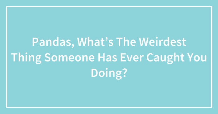 Pandas, What’s The Weirdest Thing Someone Has Ever Caught You Doing? (Closed)
