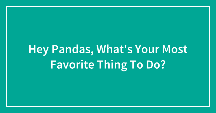 Hey Pandas, What’s Your Most Favorite Thing To Do? (Closed)
