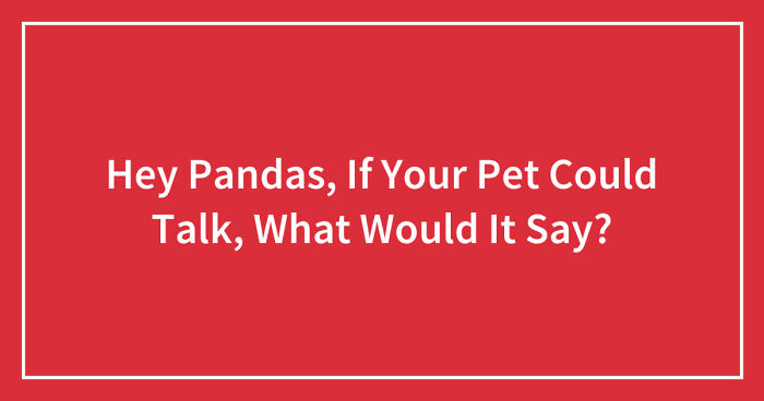 Hey Pandas, If Your Pet Could Talk, What Would It Say? (Closed)