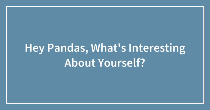 Hey Pandas, What’s Interesting About Yourself? (Closed)