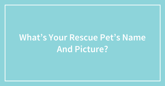 What’s Your Rescue Pet’s Name And Picture?
