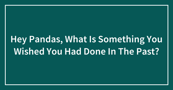 Hey Pandas, What Is Something You Wished You Had Done In The Past? (Closed)
