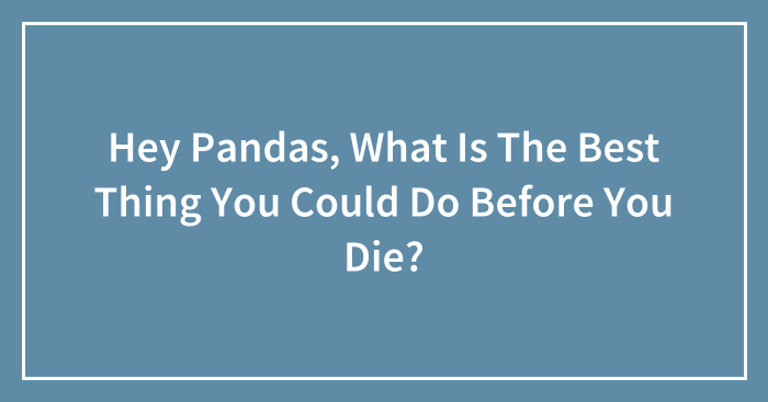 Hey Pandas, What Is The Best Thing You Could Do Before You Die? (Closed)