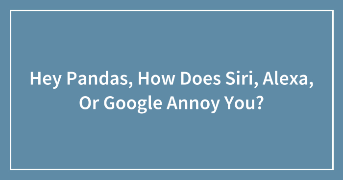 Hey Pandas, How Does Siri, Alexa, Or Google Annoy You? (Closed)