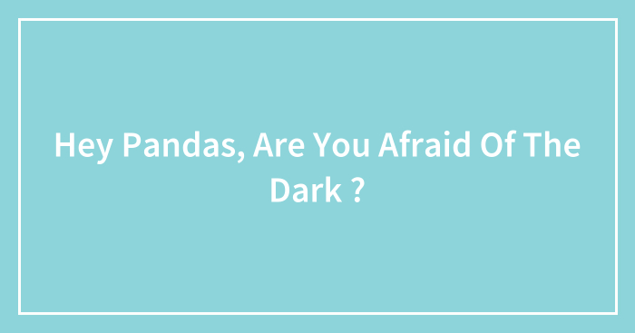 Hey Pandas, Are You Afraid Of The Dark ? (Closed)