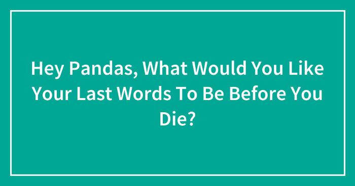 Hey Pandas, What Would You Like Your Last Words To Be Before You Die? (Closed)