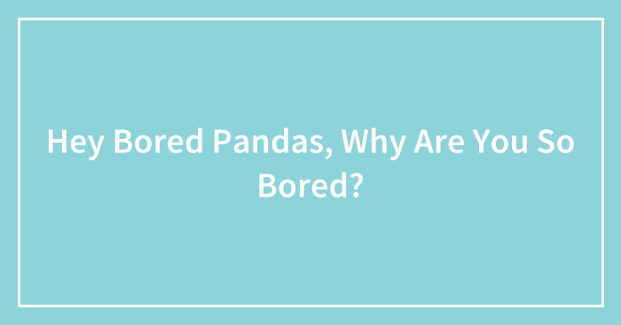 Hey Bored Pandas, Why Are You So Bored? (Closed)