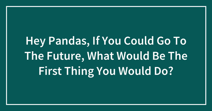 Hey Pandas, If You Could Go To The Future, What Would Be The First Thing You Would Do? (Closed)
