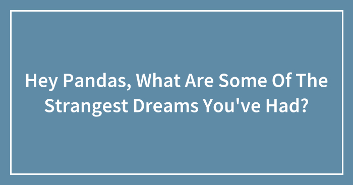 Hey Pandas, What Are Some Of The Strangest Dreams You’ve Had? (Closed)