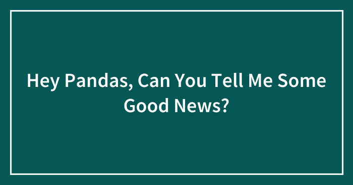 Hey Pandas, Can You Tell Me Some Good News? (Closed)