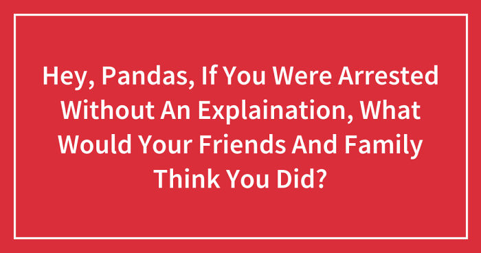 Hey Pandas, If You Were Arrested Without An Explaination, What Would Your Friends And Family Think You Did? (Closed)