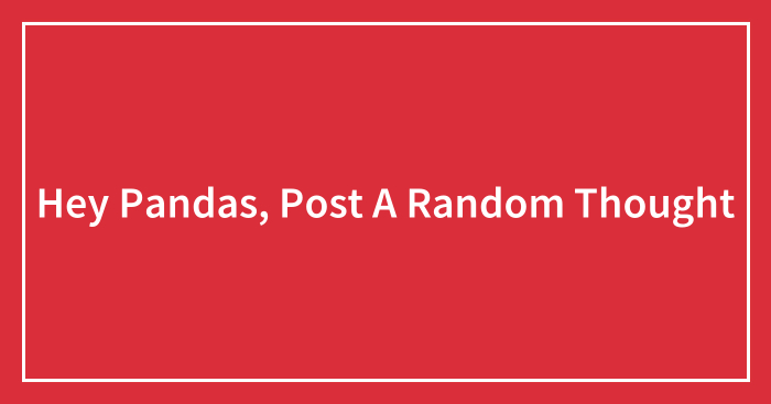 Hey Pandas, Post A Random Thought (Closed)